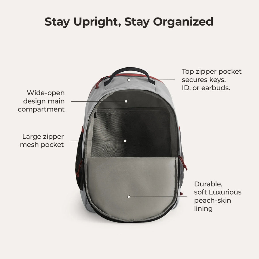 Focus 15.6" Laptop Backpack