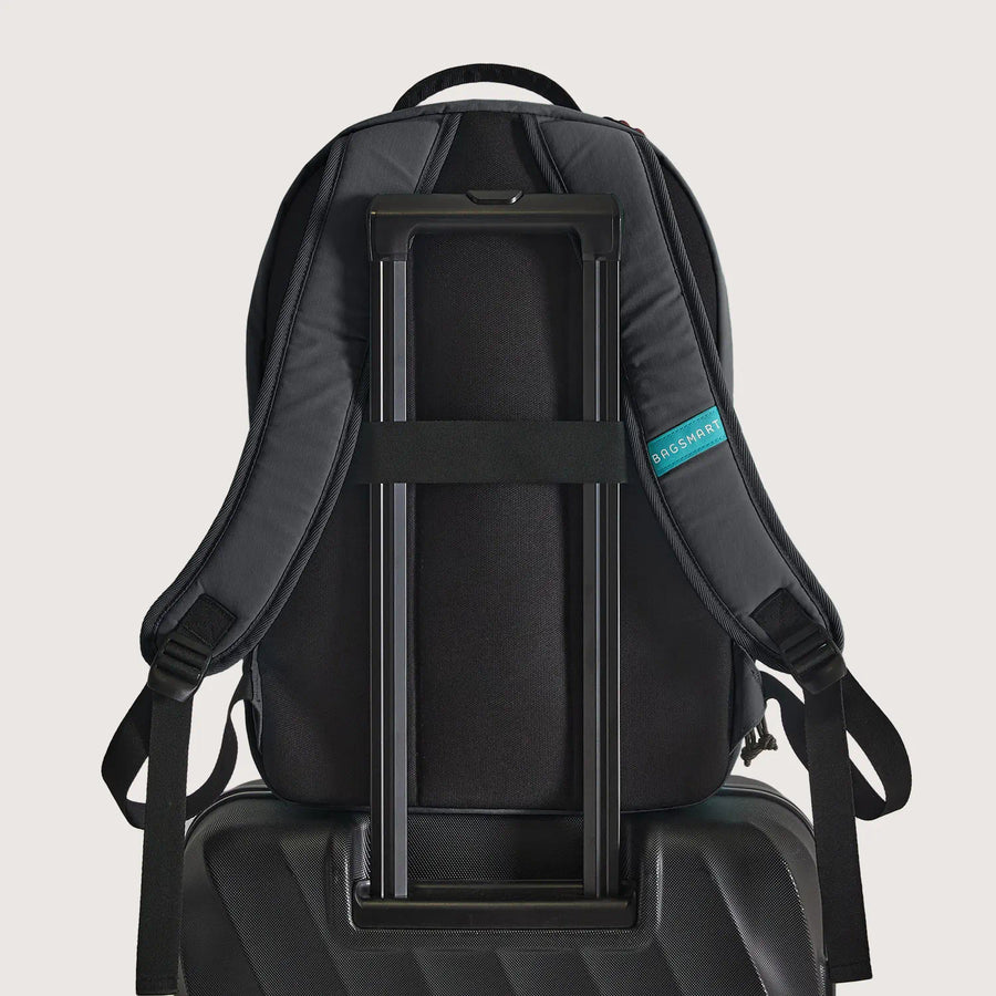 Focus 15.6" Laptop Backpack